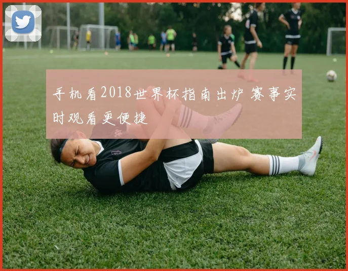 手机看2018世界杯指南出炉 赛事实时观看更便捷