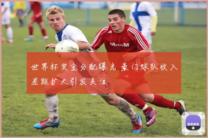 世界杯奖金分配曝光 豪门球队收入差距扩大引发关注