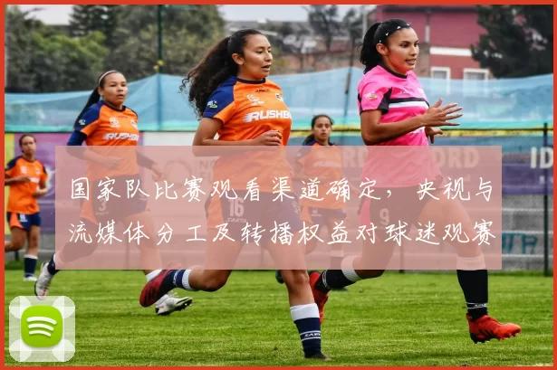 国家队比赛观看渠道确定，央视与流媒体分工及转播权益对球迷观赛影响