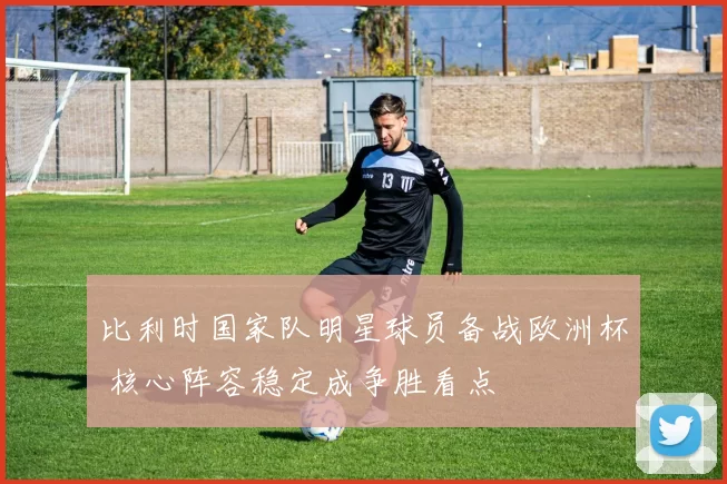 比利时国家队明星球员备战欧洲杯 核心阵容稳定成争胜看点