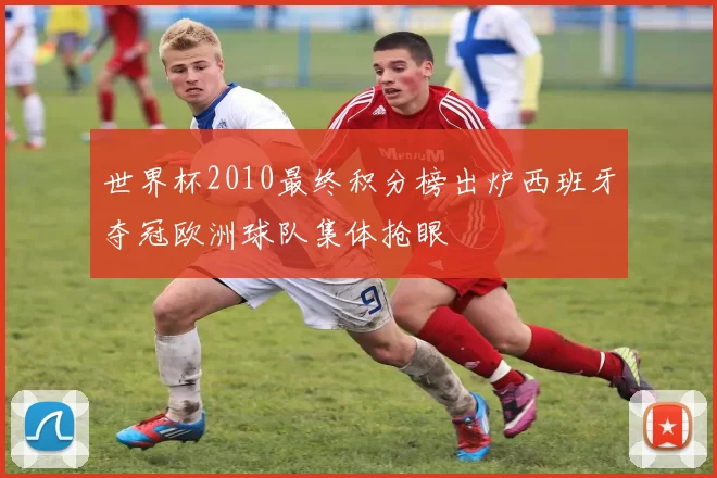 世界杯2010最终积分榜出炉西班牙夺冠欧洲球队集体抢眼
