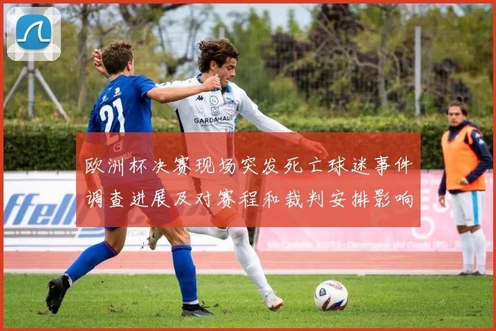 欧洲杯决赛现场突发死亡球迷事件调查进展及对赛程和裁判安排影响